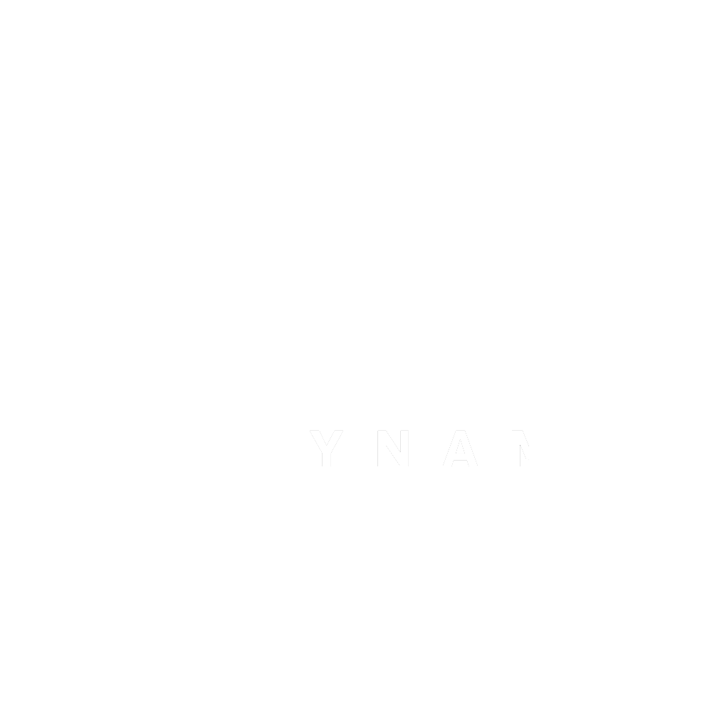 TikTok Streaming Growth Campaign